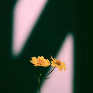 女学生洗澡自慰www网站
